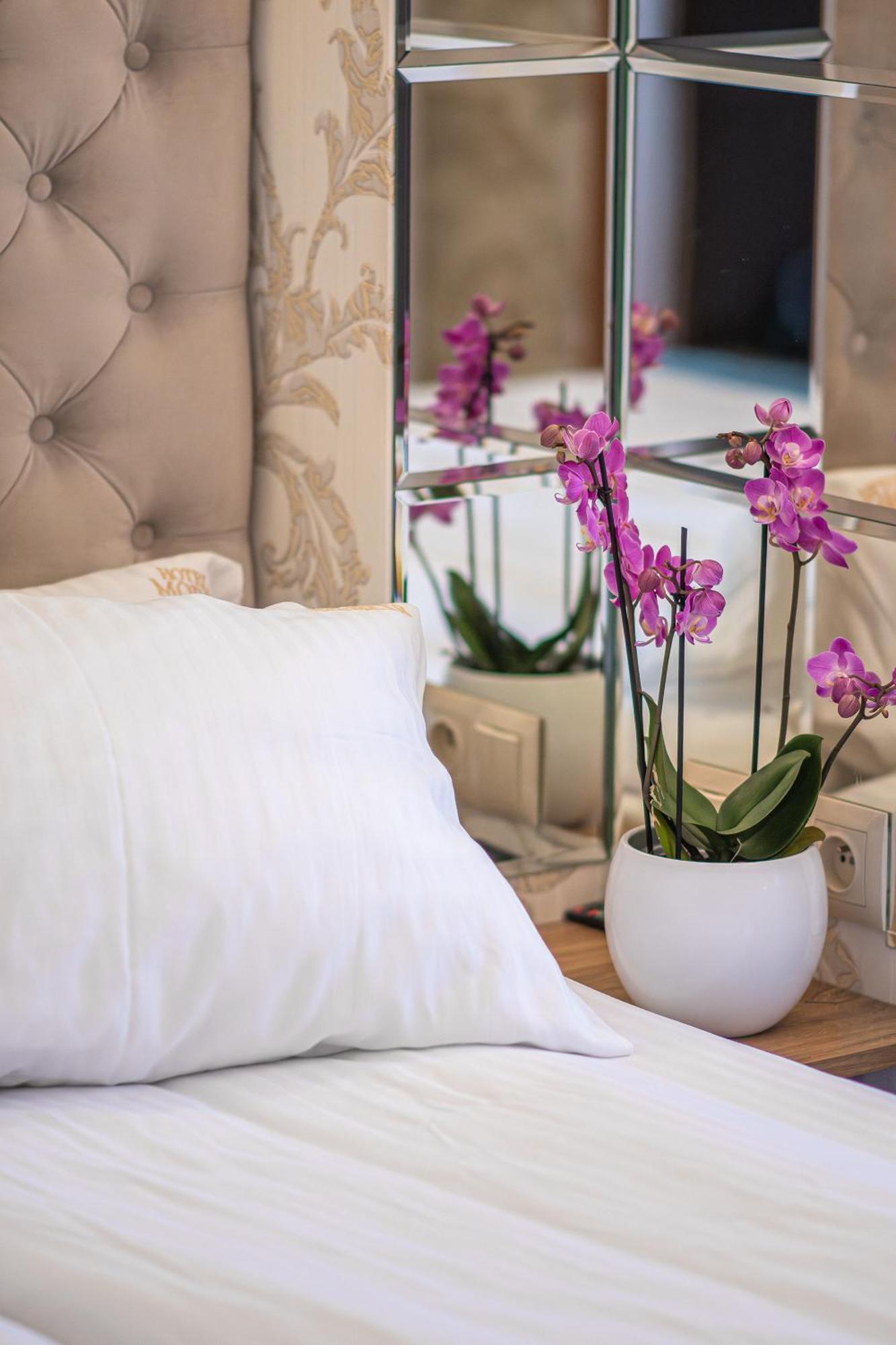Moris Boutique Beach Hotel 格但斯克 外观 照片